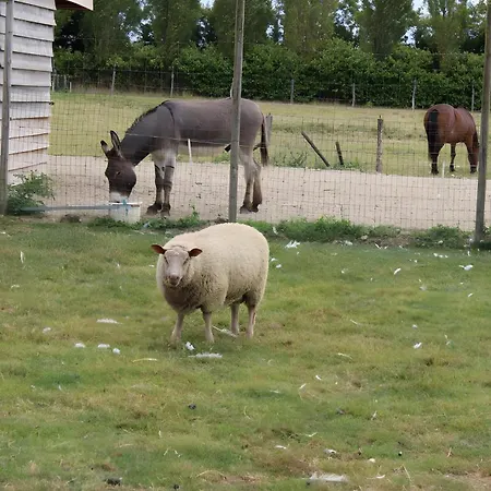 En Campagne Isatis Landemont