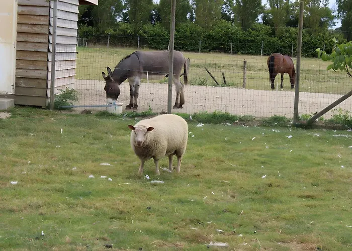 Semesterbostad Isatis *